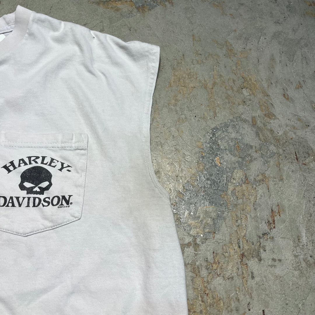 古着 Harley-Davidson/ハーレー ダビッドソン/APOL'S/ミネソタ州/プリントノースリーブTシャツ サイズXL