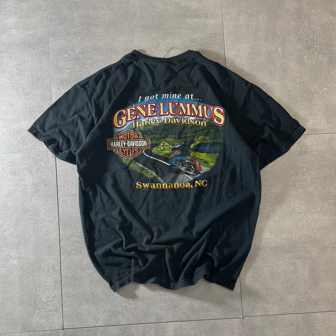古着 USA製 Harley-Davidson ハーレーダビッドソン プリントTシャツ サイズL