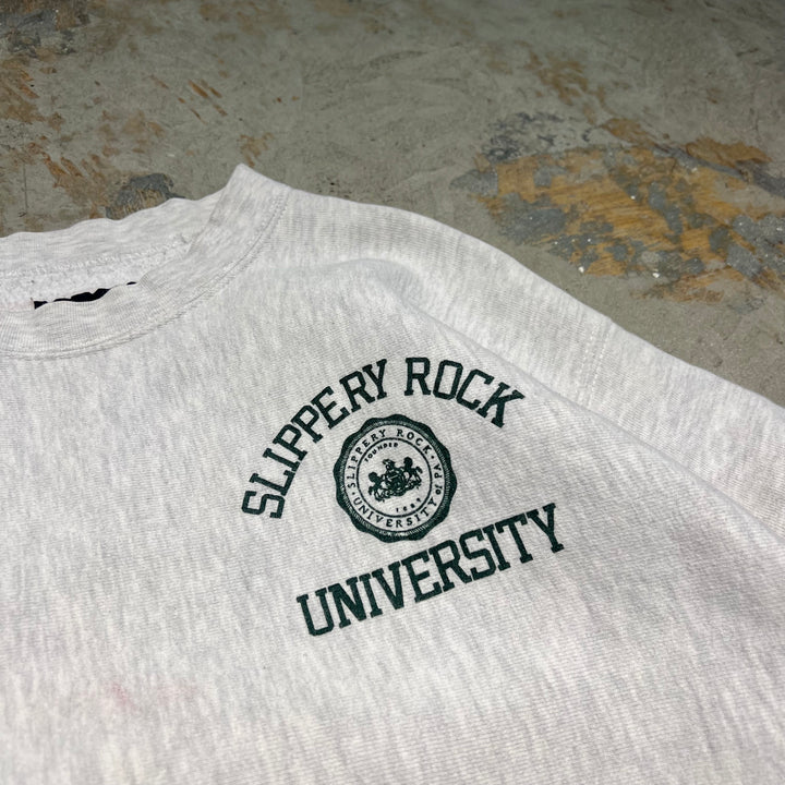 #3950 JANSPORT/ジャンスポーツ/Crew Sweatshits/クルースウェット/SLIPPERY ROCK UNIVERSITY/サイズL