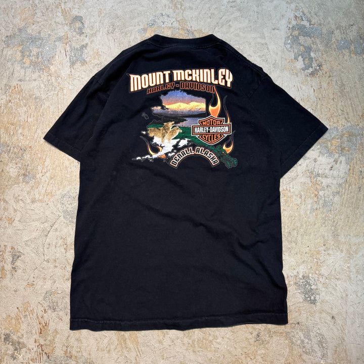 Used clothing Made in USA Harley-Davidson/Harley-Davidson/Printed T-shirt/Size L