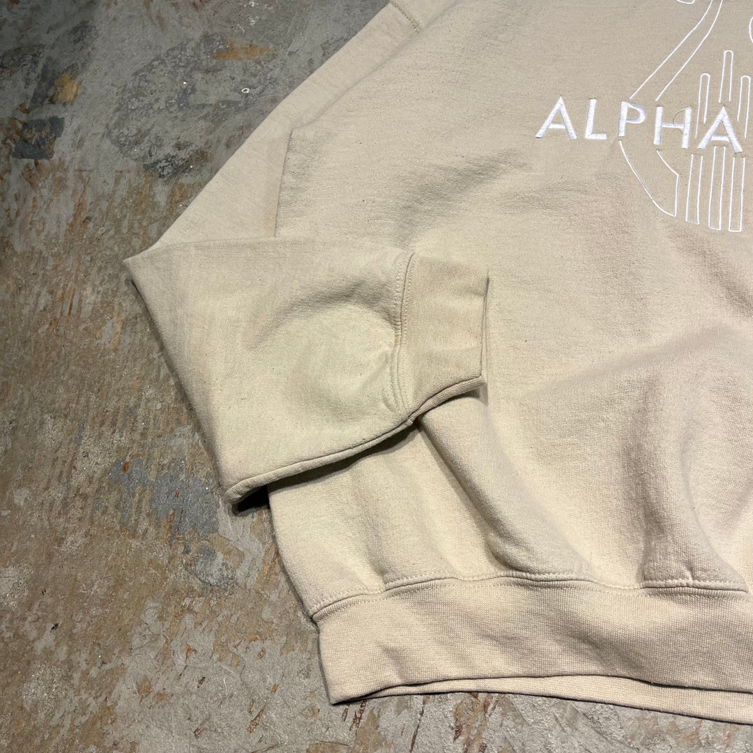 #4062 古着 GILDAN/ギルダン/Crew neck sweat/クルーネックスウェット/ALPHA CHI/サイズ L