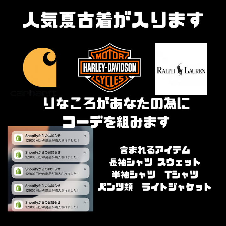 《9月12日までお得な先行販売割引あり》1着3300円～ あなたのご要望に寄り添って作成！！りなころトータルコーデBOX3着セット 秋ver