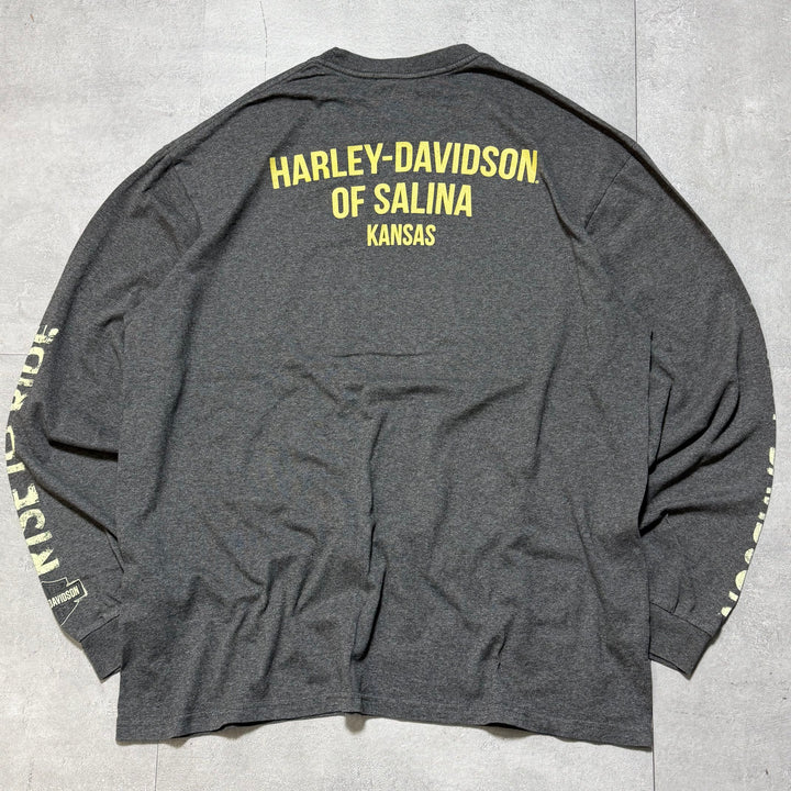古着 Harley-Davidson/ハーレーダビッドソン/ ロングスリーブプリントTシャツ/サイズXL相当