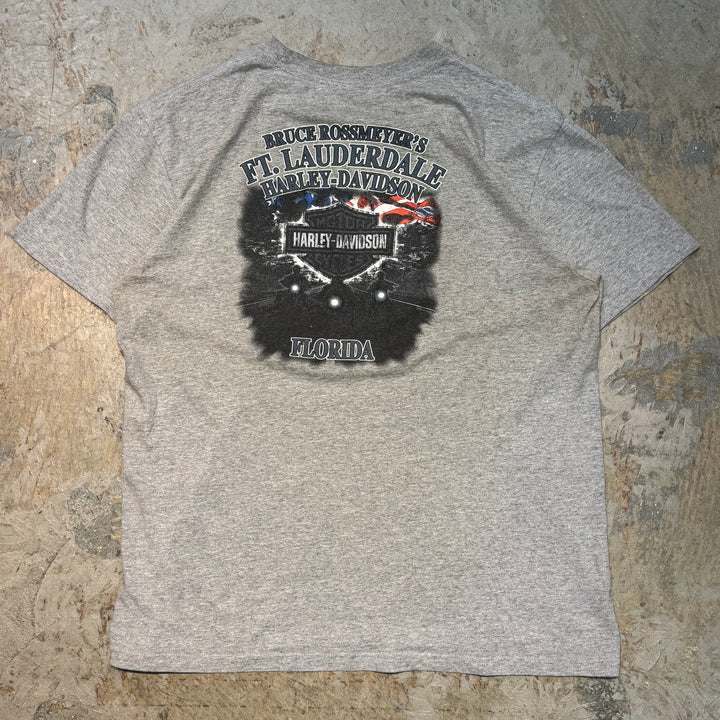 二手衣服Harley-Davidson/哈雷戴维森/印花T恤/尺寸L相当