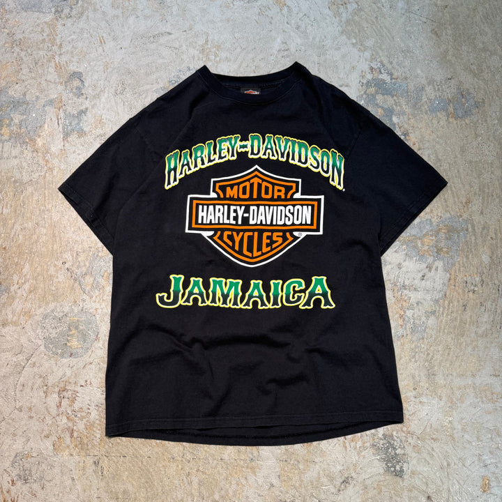 古着 Harley-Davidson/ハーレーダビッドソン/ プリントTシャツ/ サイズL