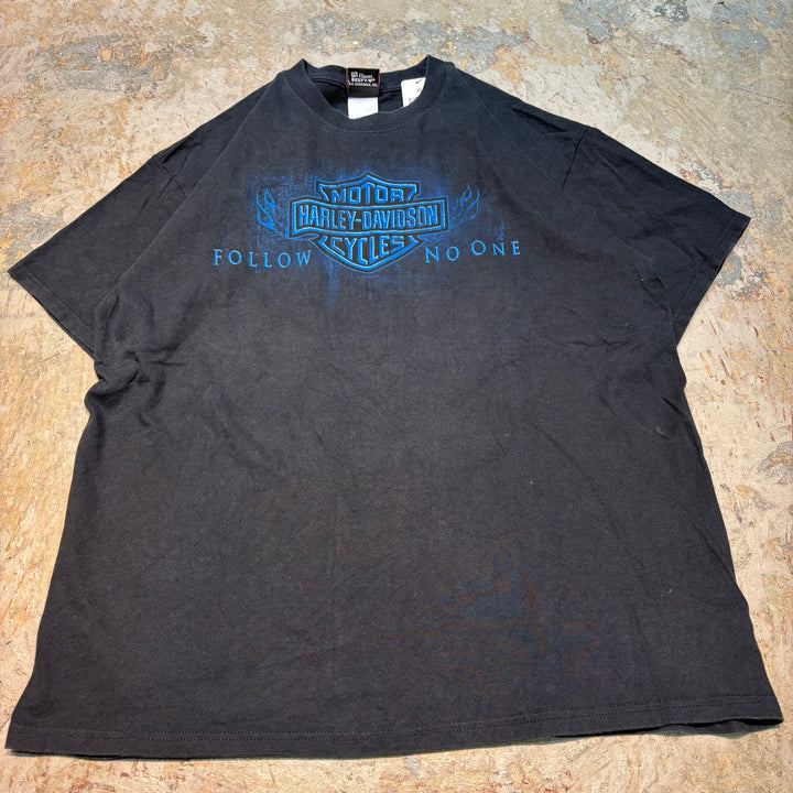 古着 Harley-Davidson/ハーレーダビッドソン/ プリントTシャツ/ サイズXL