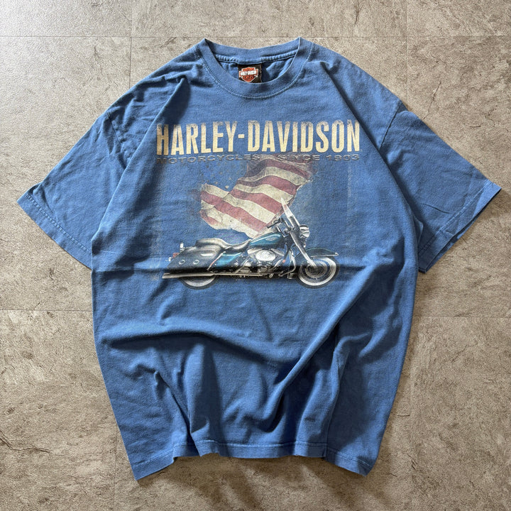 古着 USA製 Harley-Davidson ハーレーダビッドソン プリントTシャツ アメカジ サイズL