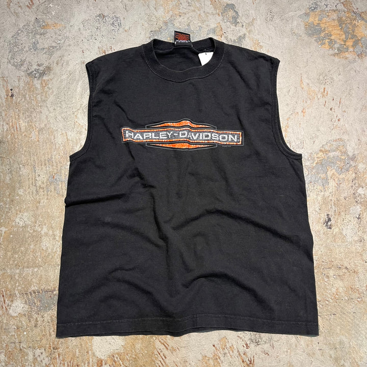 古着 USA製 Harley-Davidson/ハーレー ダビッドソン ミネソタ州 フェアリボー プリントTシャツ サイズL