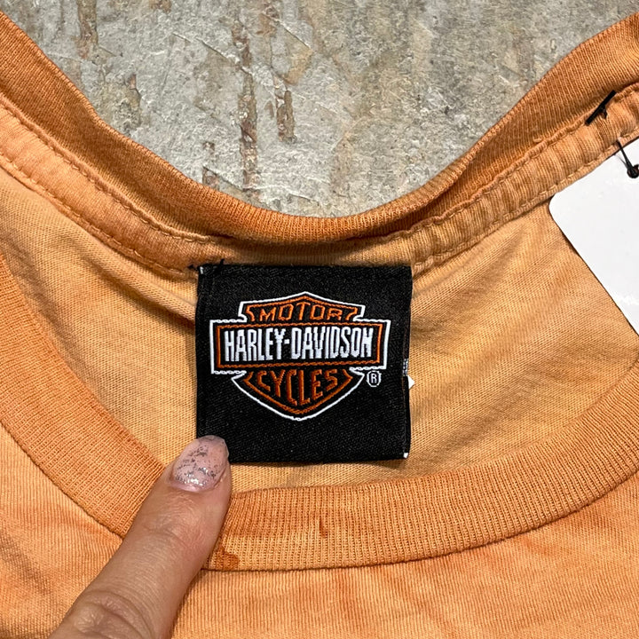 古着Harley-Davidson/ハーレー ダビッドソン/モーターサイクルズ/Barnett/プリントTシャツ サイズM