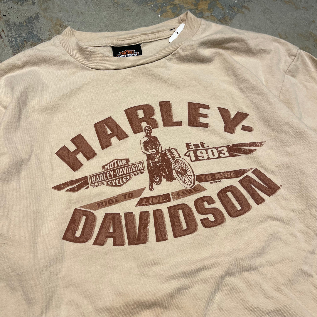 古着 USA製 Harley-Davidson/ハーレー ダビッドソン / アラスカ州 ジュノー ストア / ロングTシャツ / サイズM