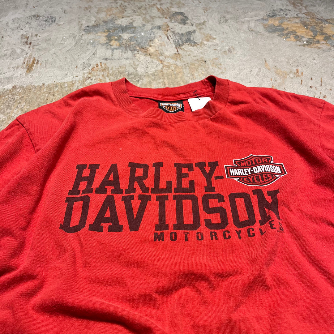 古着 Harley-Davidson/ハーレー ダビッドソン ジョージア州 サバンナ プリントTシャツ サイズL