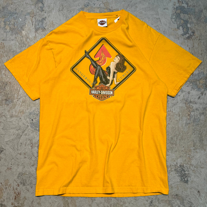 古着 USA製 Harley-Davidson/ハーレーダビッドソン/ プリントTシャツ/ サイズL