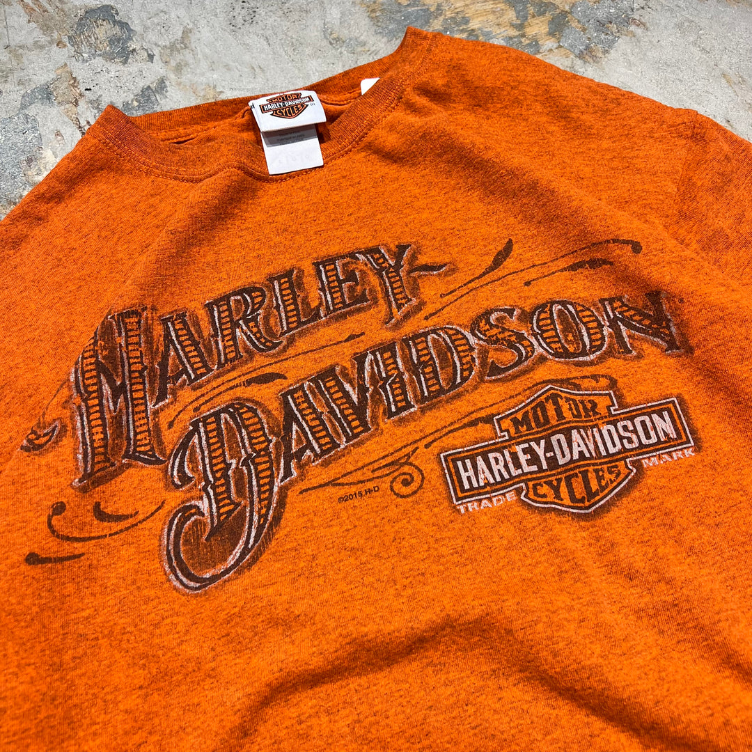 古着 Harley-Davidson  /ハーレー ダビッドソン / カリフォルニア州 サンフランシスコ ダドリー･パーキンス ストア / プリントTシャツ / サイズL