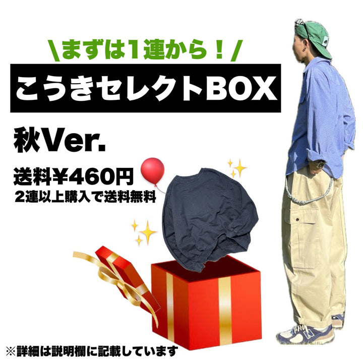 こうき店長セレクトBOX 秋Ver. 送料460円 2つ以上購入で送料無料