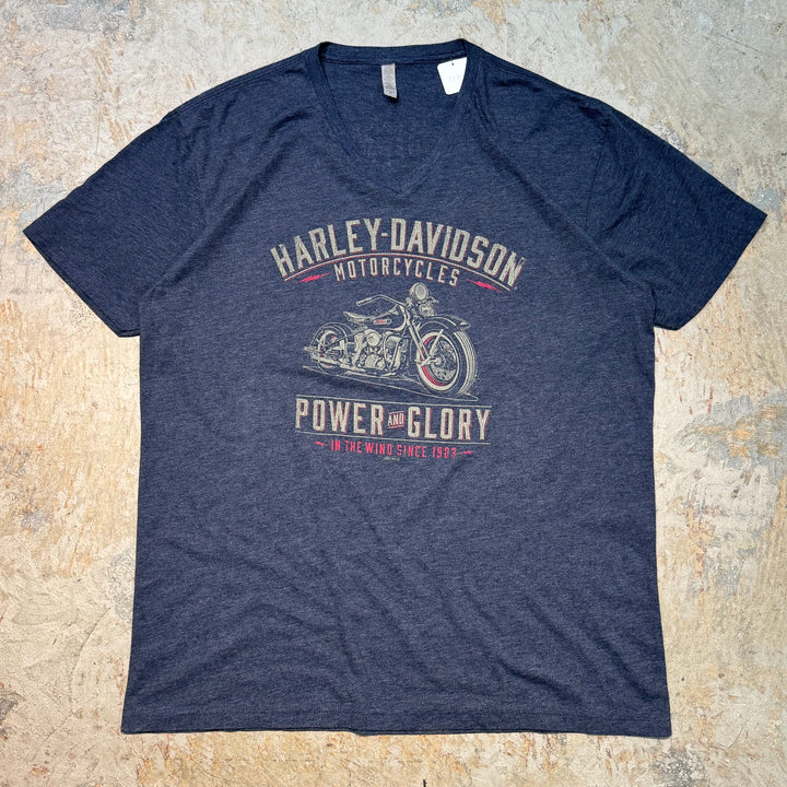 古着 Harley-Davidson/ハーレーダビッドソン/ プリントTシャツ/ サイズXL