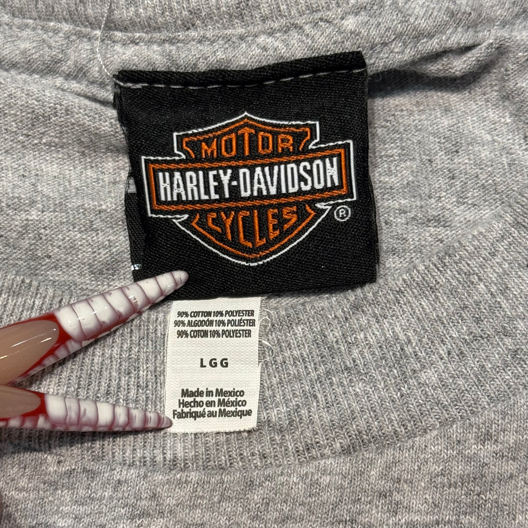 古着 Harley-Davidson/ハーレーダビッドソン/ プリントTシャツ/ サイズL