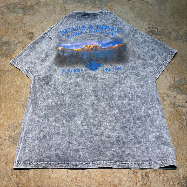 古着 Harley-Davidson/ハーレーダビッドソン/ プリントTシャツ/ サイズL