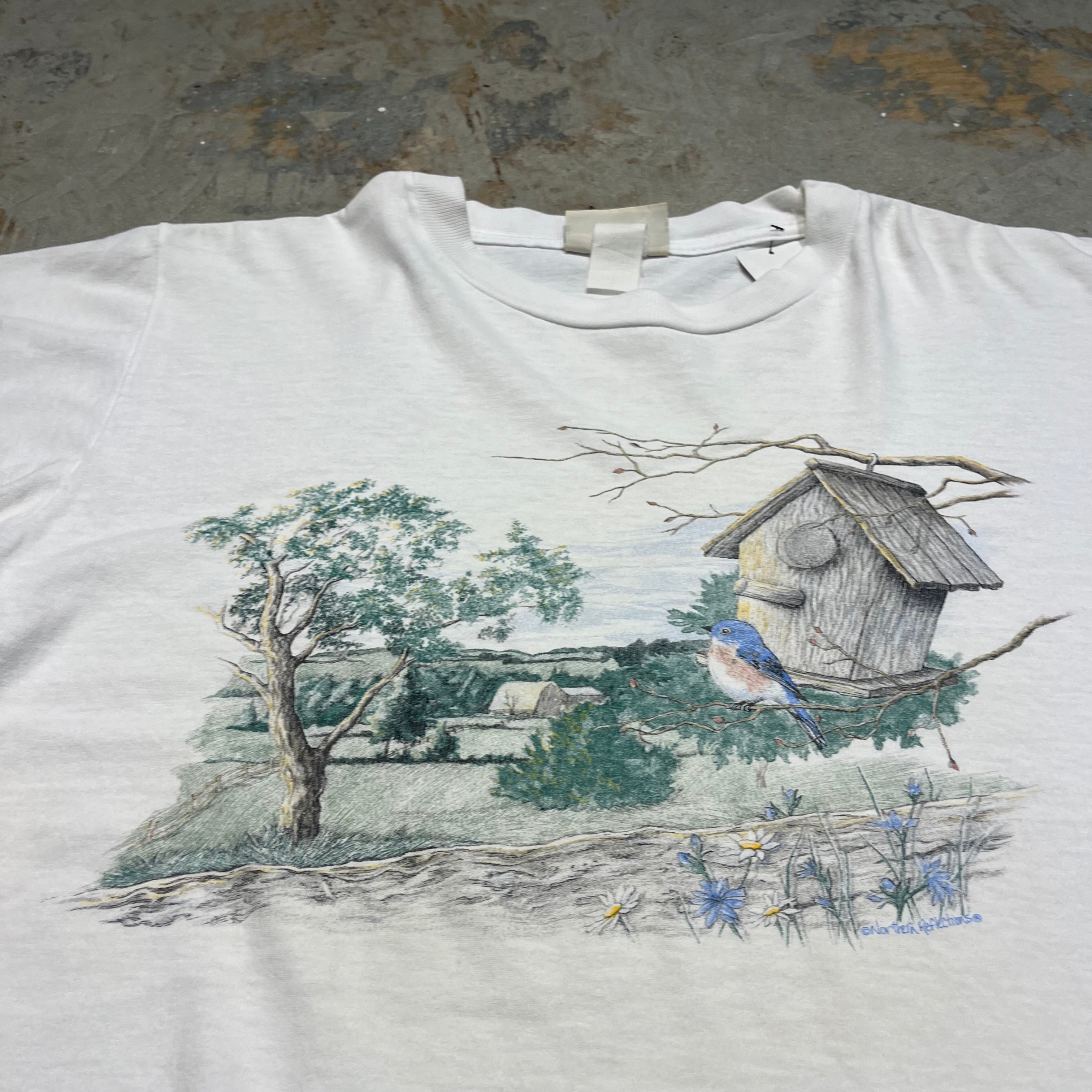 古着 USA製 90's USAVINTAGE / northern reflections / アート