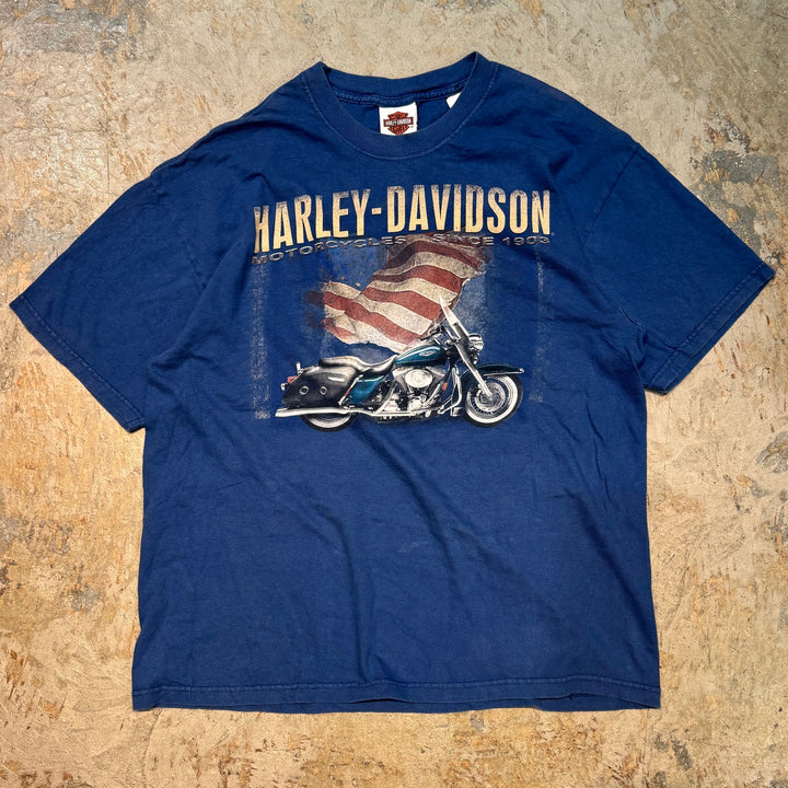 Used clothing Made in USA Harley-Davidson/Harley-Davidson/Printed T-shirt/Size L