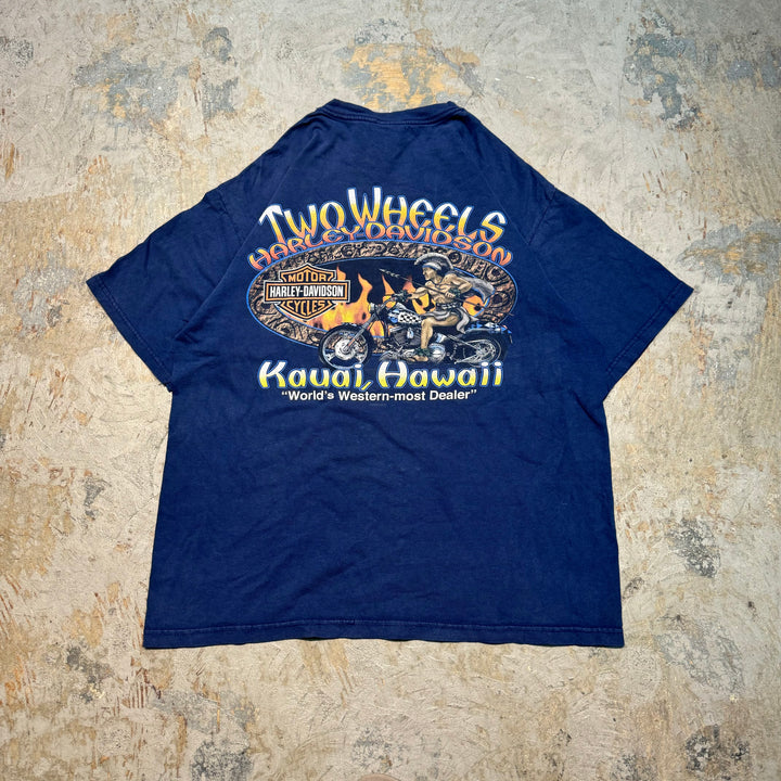 Used clothing Made in USA Harley-Davidson/Harley-Davidson/Printed T-shirt/Size L