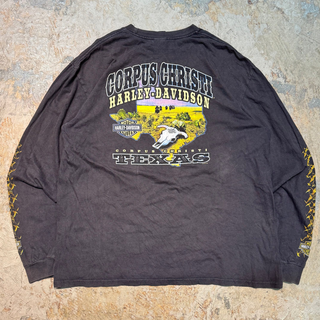 旧衣服Harley-Davidson/哈雷戴维森/长袖印花T恤/尺码XL