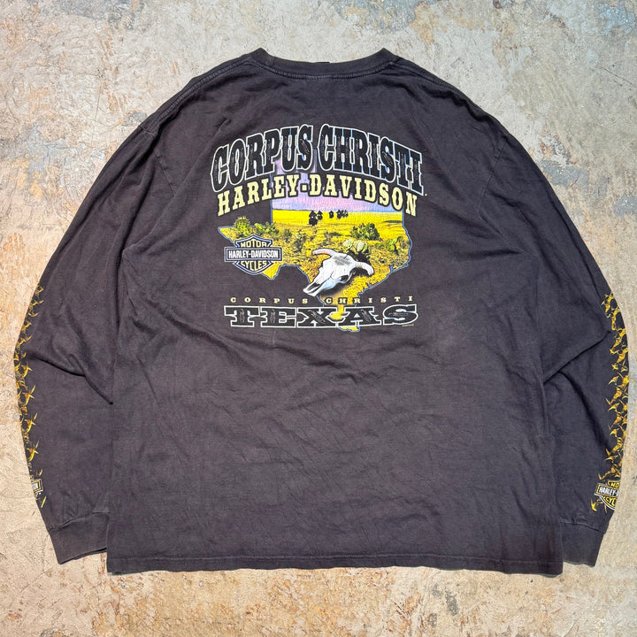 旧衣服Harley-Davidson/哈雷戴维森/长袖印花T恤/尺码XL