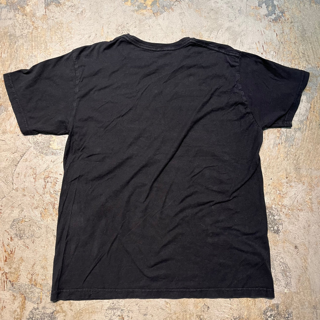 古着 USAVINTAGE/ プリントTシャツ/ サイズL