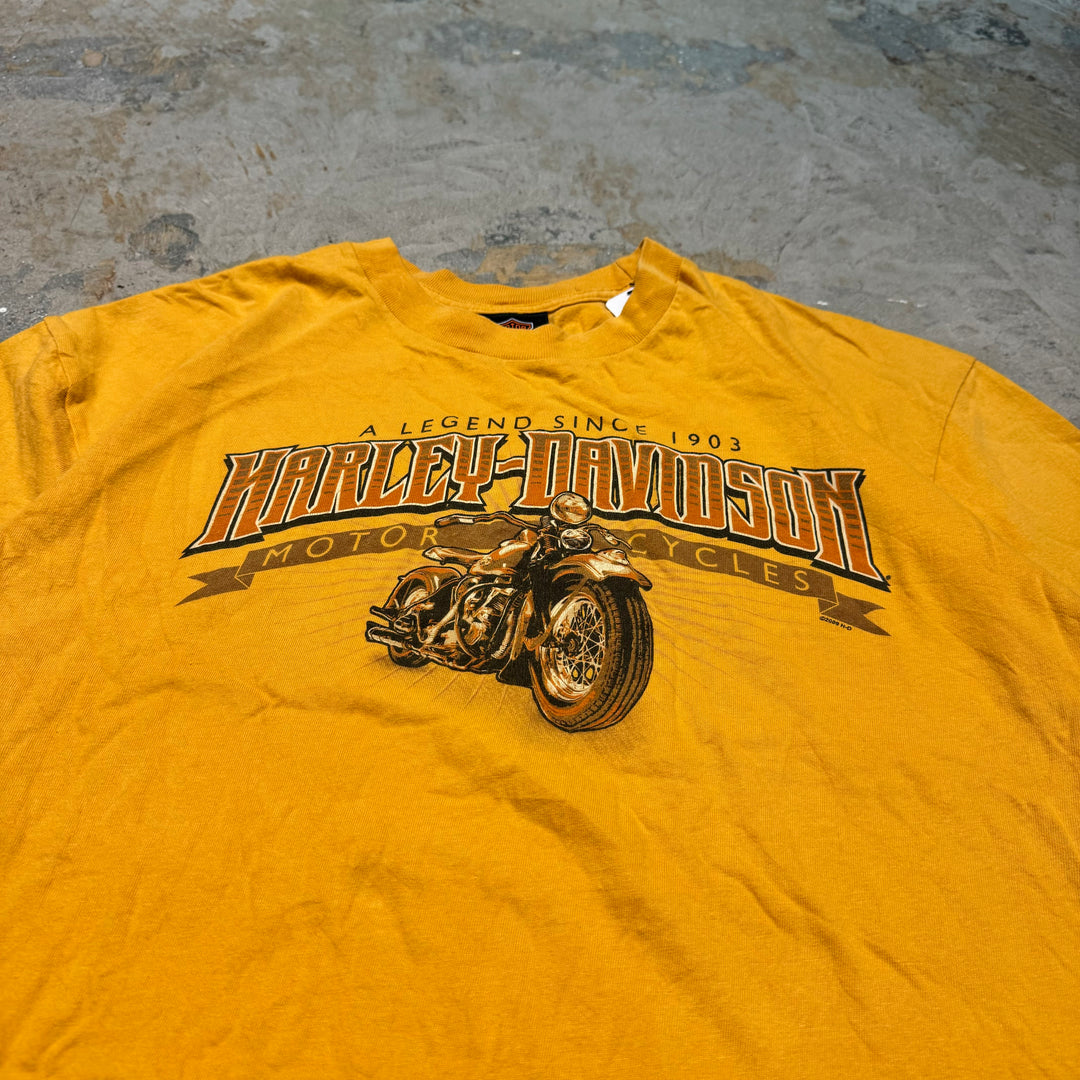 旧衣服Harley-Davidson/哈雷戴维森/印花T恤/尺码XL