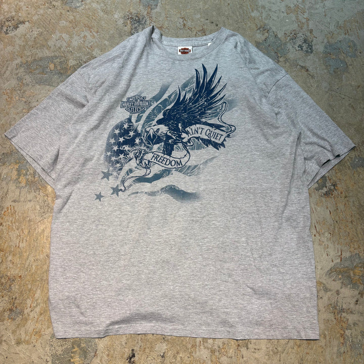 古着 USA製 Harley-Davidson/ハーレーダビッドソン/ プリントTシャツ/ サイズ3XL相当