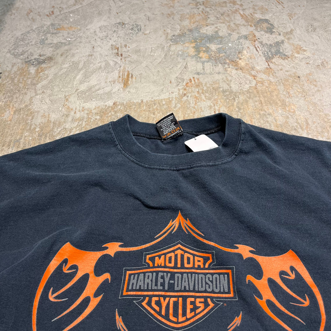 古着 USA製 Harley-Davidson/ハーレー ダビッドソン マサチューセッツ州 ボストン 長袖Tシャツ サイズXXL