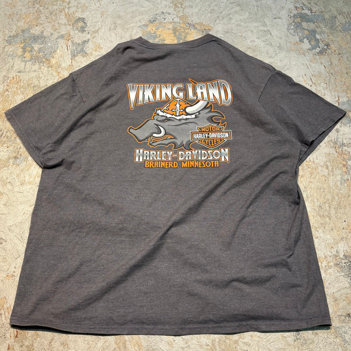 古着 Harley-Davidson/ハーレーダビッドソン/ プリントTシャツ/ サイズXL