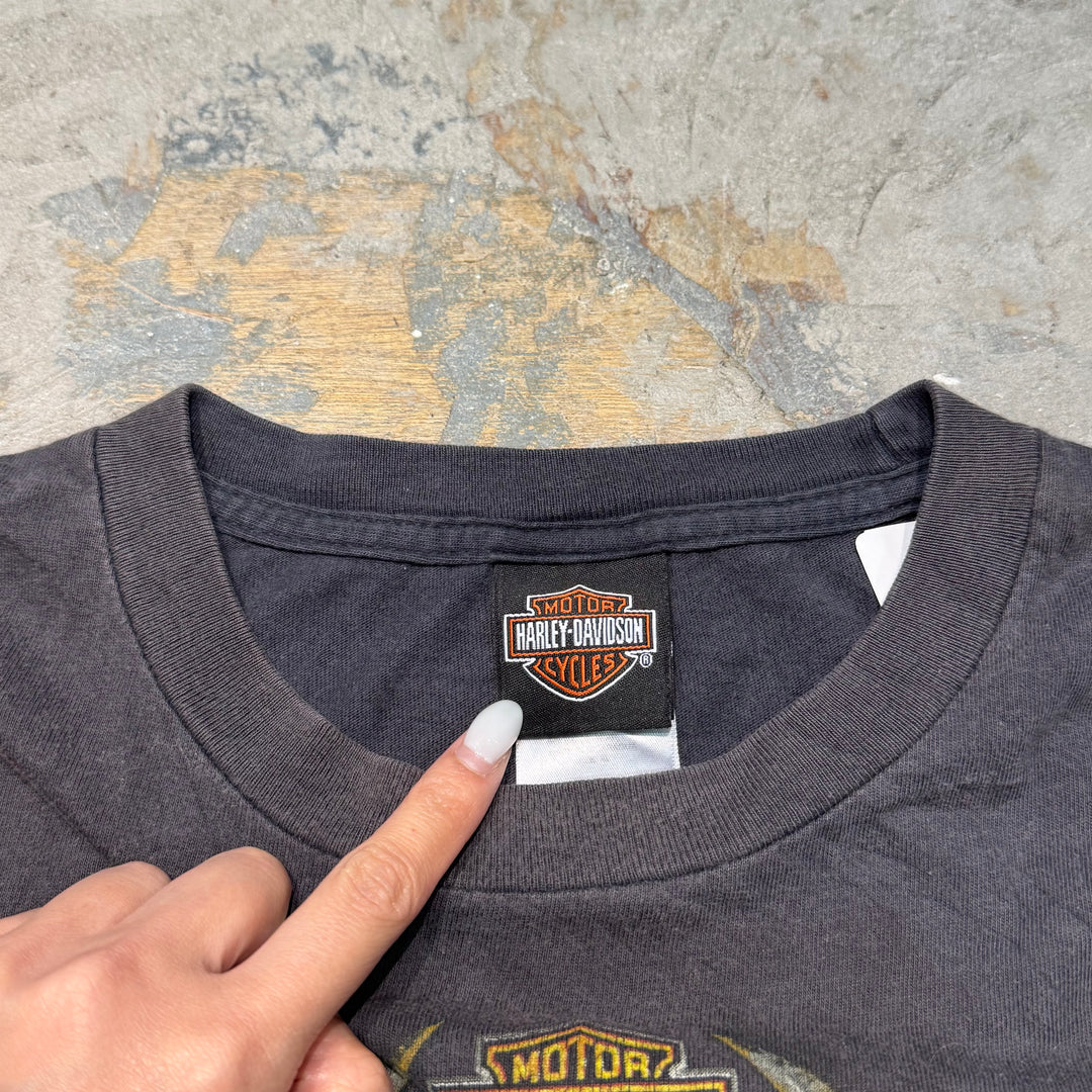 旧衣服Harley-Davidson/哈雷戴维森/长袖印花T恤/尺码XL