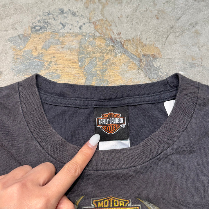 旧衣服Harley-Davidson/哈雷戴维森/长袖印花T恤/尺码XL