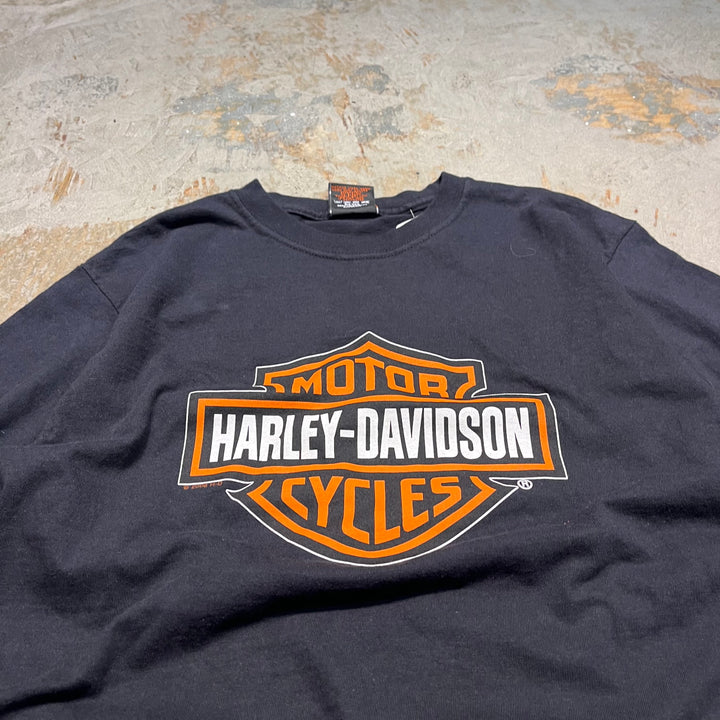 古着 Harley-Davidson/ハーレー ダビッドソン ノース・カロライナ州 シャーロット プリントTシャツ サイズM