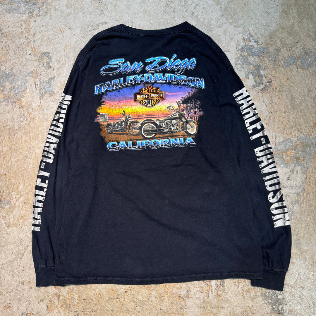 古着 harley-davidson/ハーレーダビッドソン/ プリントTシャツ/ロンT/  サイズL