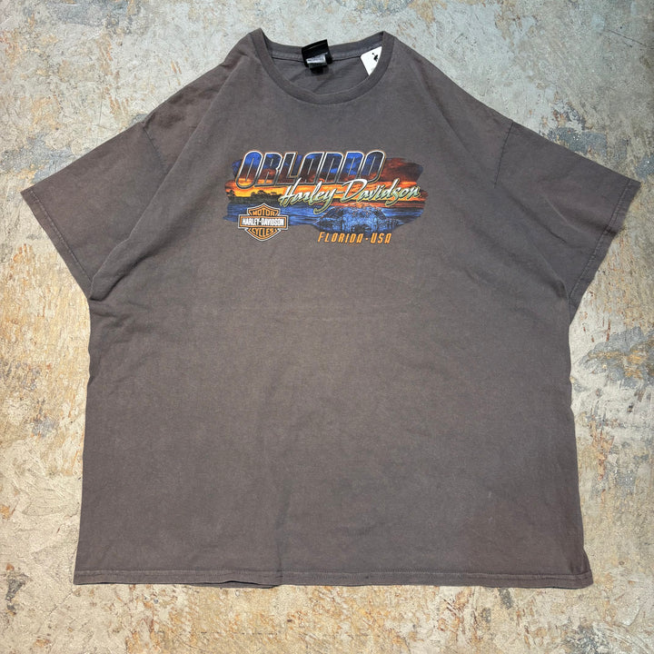 古着 Harley-Davidson/ハーレーダビッドソン/ プリントTシャツ/ サイズ2XL
