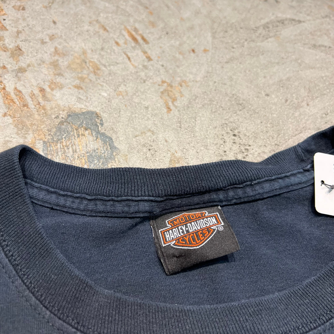 古着 Harley-Davidson  /ハーレー ダビッドソン / ペンシルバニア州 パリービル ストア / プリントTシャツ / サイズXXXL相当