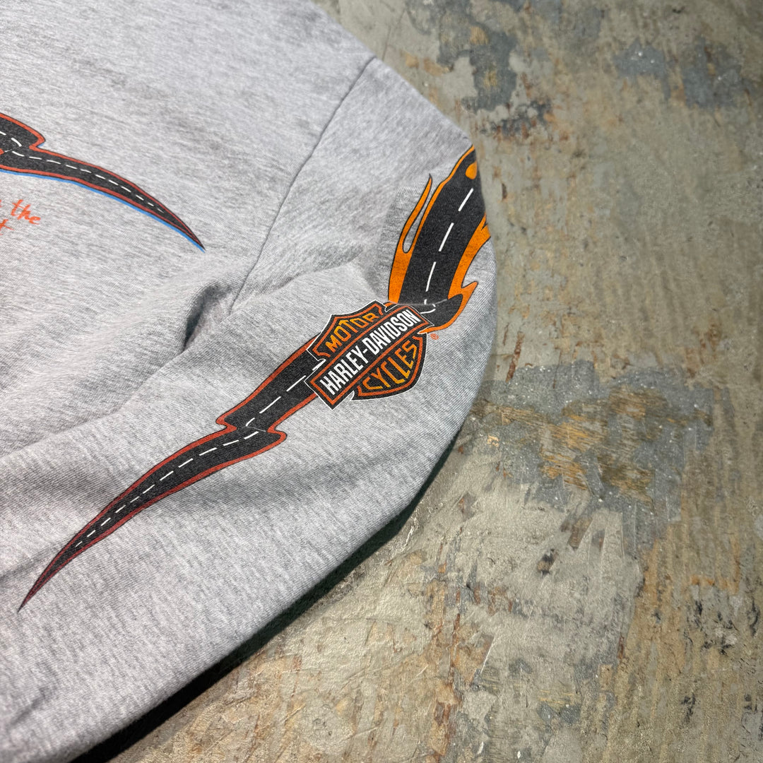 古着 Harley-Davidson/ハーレーダビッドソン/ プリントロングTシャツ/ サイズS