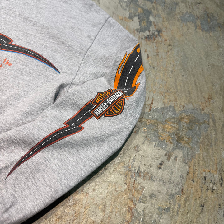 古着 Harley-Davidson/ハーレーダビッドソン/ プリントロングTシャツ/ サイズS