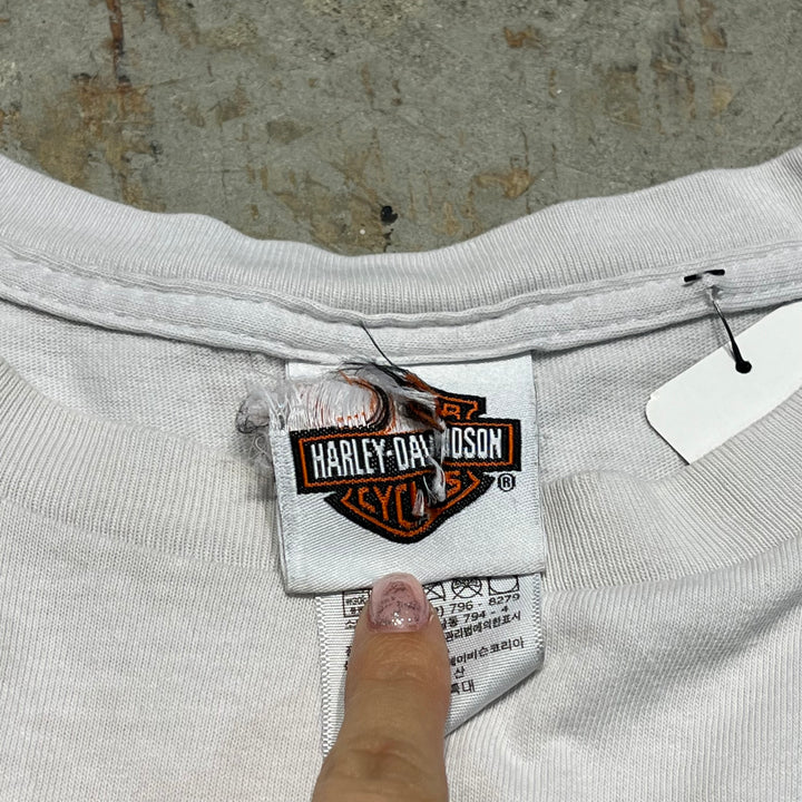 古着 Harley-Davidson/ハーレー ダビッドソン/APOL'S/ミネソタ州/プリントノースリーブTシャツ サイズXL