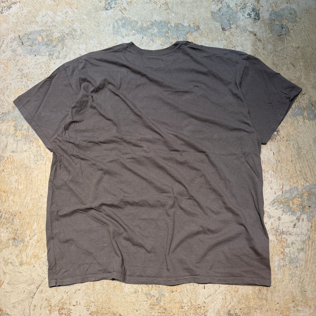 古着 SUBLIME/ サブライム/ アーティストTシャツ/ サイズ2XL