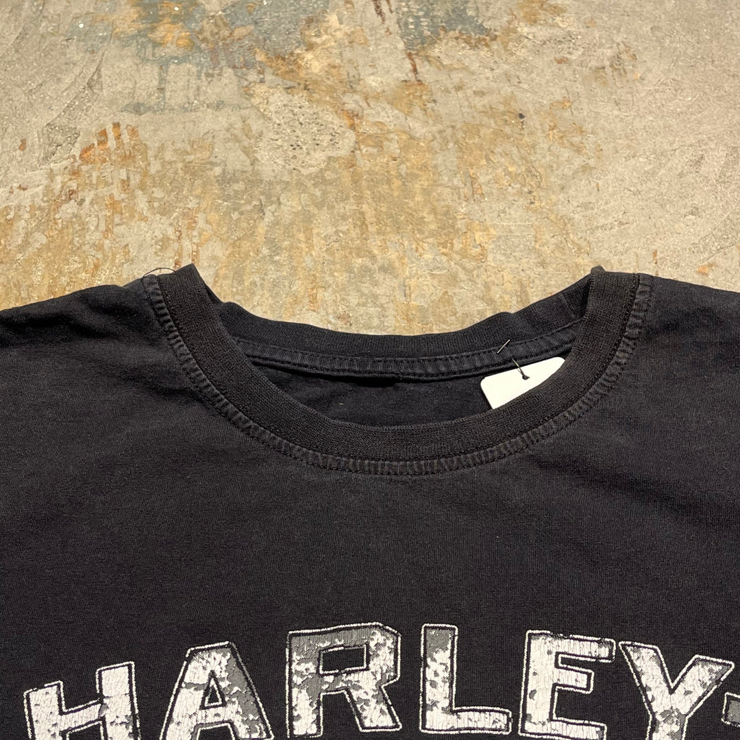 古着 Harley-Davidson/ハーレー ダビッドソン トルコ共和国 プリントTシャツ サイズL相当