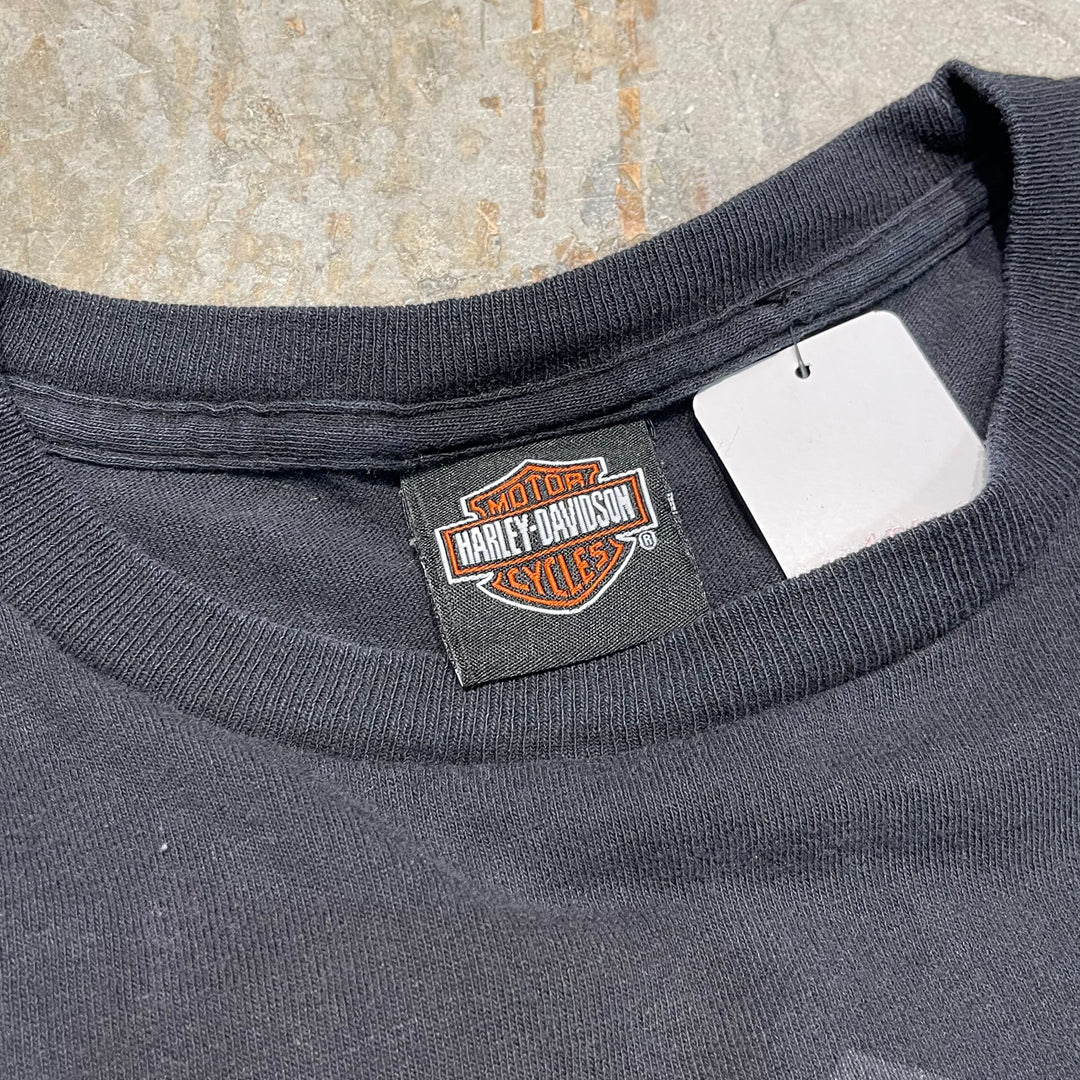 古着 Harley-Davidson/ハーレーダビッドソン/マサチューセッツ州ビレリカ/プリントロングTシャツ/サイズM