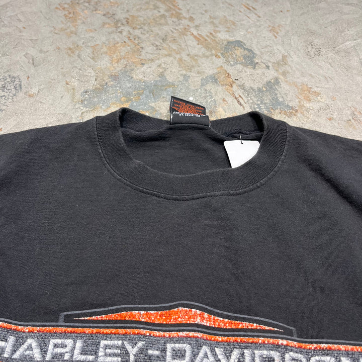 古着 USA製 Harley-Davidson/ハーレー ダビッドソン ミネソタ州 フェアリボー プリントTシャツ サイズL