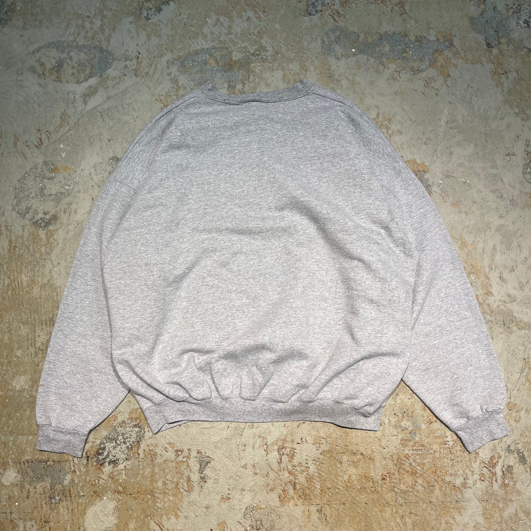 #2062 古着/Hanes/ヘインズ/Crewneck weat/クルーネックスウェット/カレッジロゴ/サイズ2XL相当