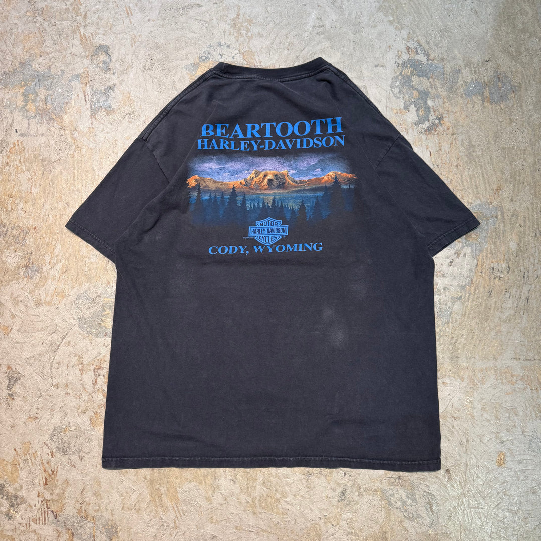 古着 Harley-Davidson/ハーレーダビッドソン/ プリントTシャツ/ サイズXL