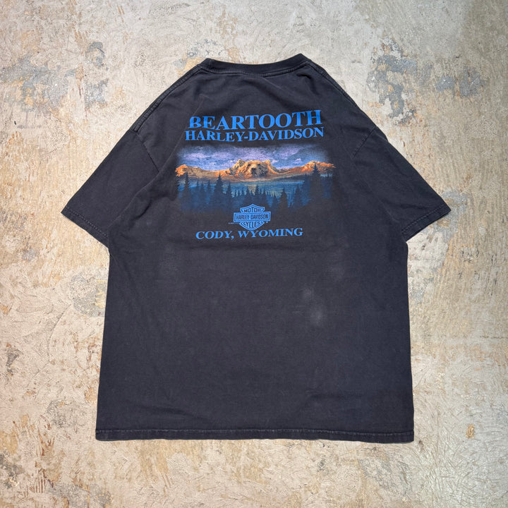 古着 Harley-Davidson/ハーレーダビッドソン/ プリントTシャツ/ サイズXL