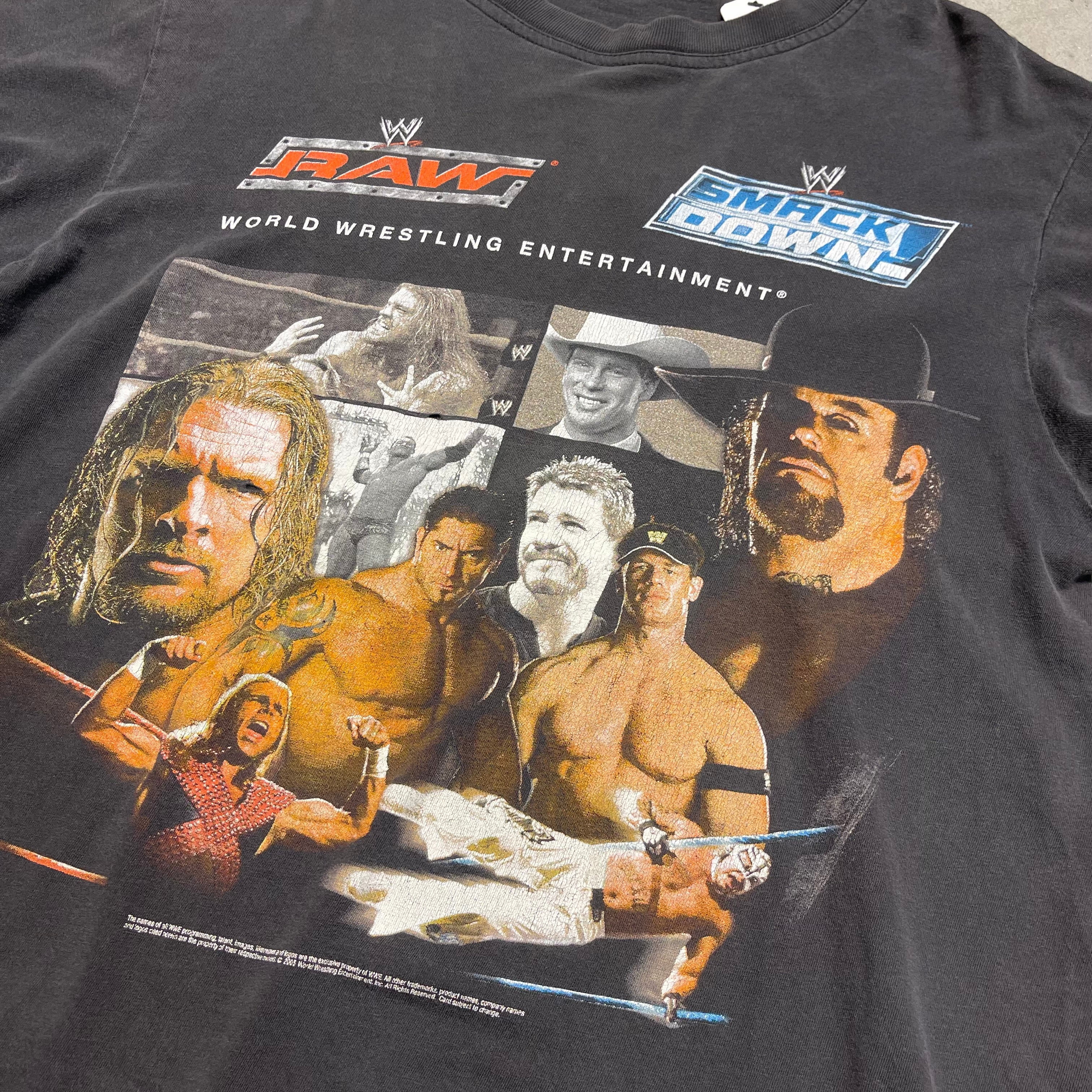 古着 USAVINtage / プロレス / WWE レッスルマニア21 / 2005.2.4RAW公演記念 / イベントTシャツ / サイ – 古着屋  MUJIN