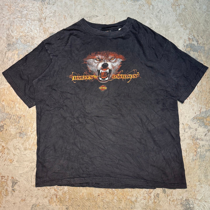 旧衣服Harley-Davidson/哈雷戴维森/印花T恤/尺码XL
