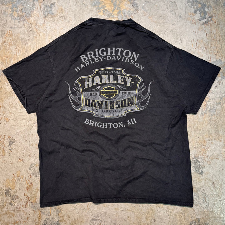 古着 Harley-Davidson/ハーレーダビッドソン/ プリントTシャツ/ サイズXL
